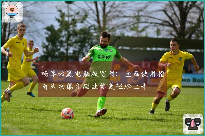 畅享必赢电脑版官网：全面使用指南及功能介绍让你更轻松上手