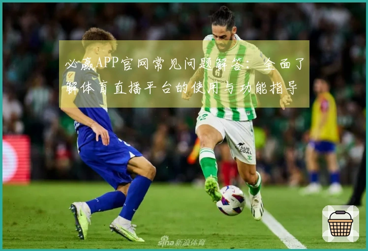 必赢APP官网常见问题解答：全面了解体育直播平台的使用与功能指导