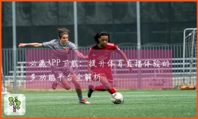 必赢APP下载：提升体育直播体验的多功能平台全解析