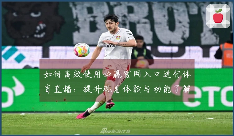 如何高效使用必赢官网入口进行体育直播，提升观看体验与功能了解
